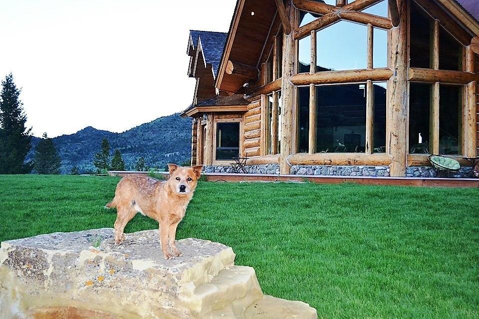 Mcdonald'S Ranch Lodge Gardiner Eksteriør bilde